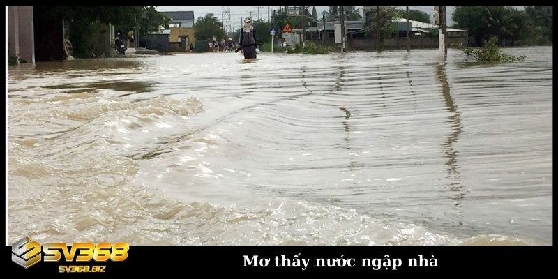 Mơ thấy nước ngập và những điềm báo không phải ai cũng biết 5 Mơ thấy nước ngập nhà